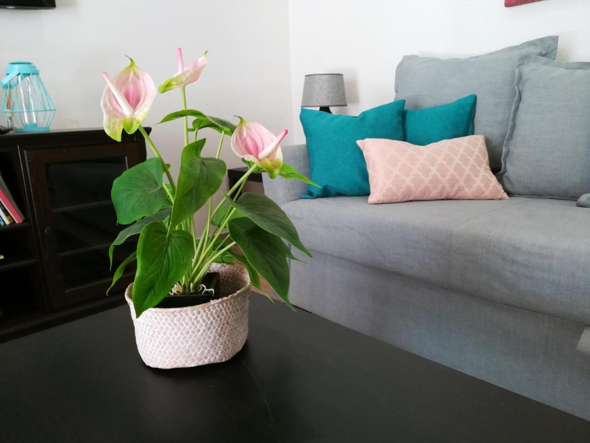 Apartamento Inema House Iberlagos